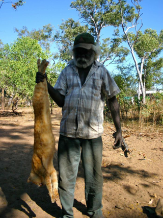 Illustration for article titled Gigantic feral cats are wreaking havoc on Australia's wildlife